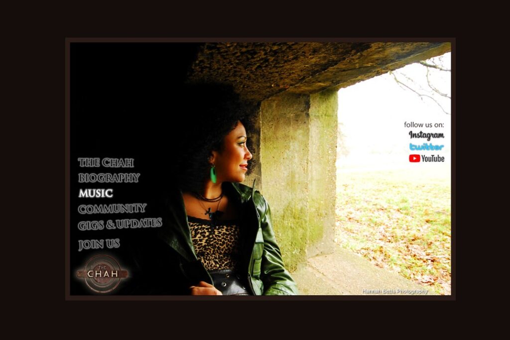 Website design – Singer